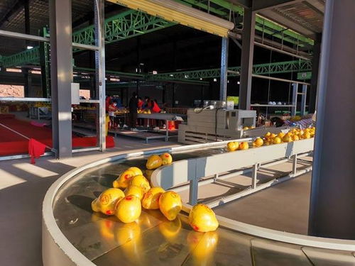 广西 推进数字化产地仓建设 加快乡村振兴步伐