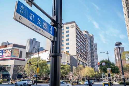 精品道路之虹口魅力行 探访七条高颜值马路及其设施亮点