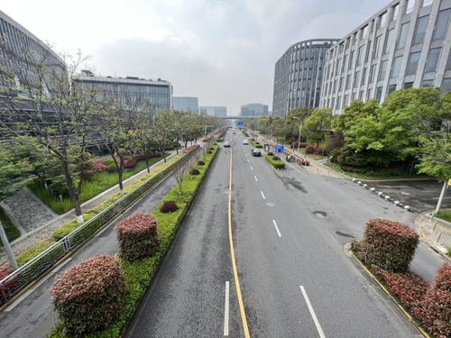 闵行区新增8条精品道路，累计创建33条，道路设施全面升级