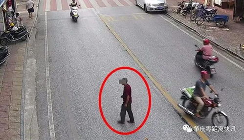 肇庆行人乱穿马路遭曝光，道路设施问题引发关注