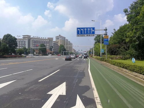 回应市民关切，龙洲路沿线路口交通设施迎升级，道路安全再添新保障