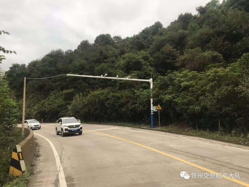 昭平新增道路临控设备抓拍 不看你会吃大亏