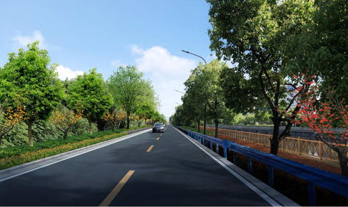 美丽乡村丨道路设施蝶变，春园村旧貌换新颜